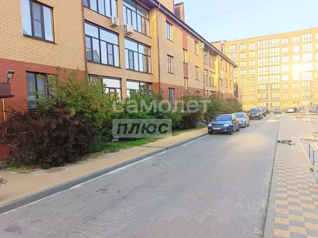 2-к кв. Курская область, Курск ул. Росинка, 6 (54.0 м) - Фото 2