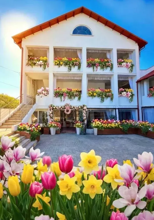 Дом в Краснодарский край, Геленджик просп. Геленджикский, 85 (600 м) - Фото 2