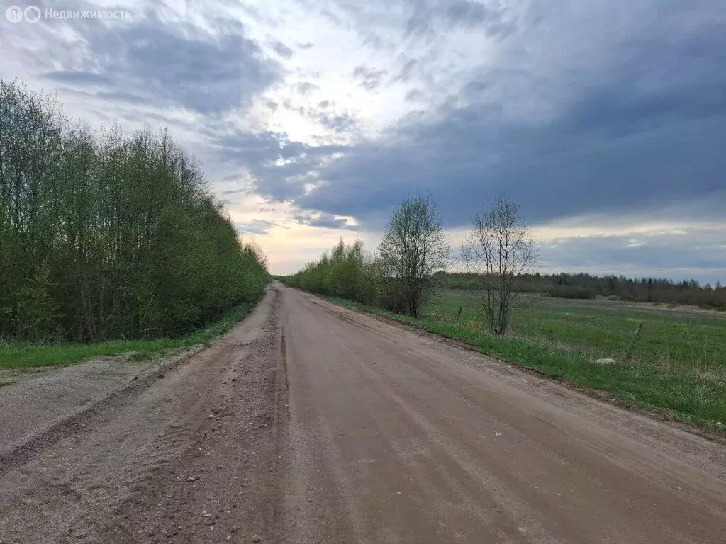 Участок в село Талицы, улица 40 лет Победы (20 м) - Фото 0