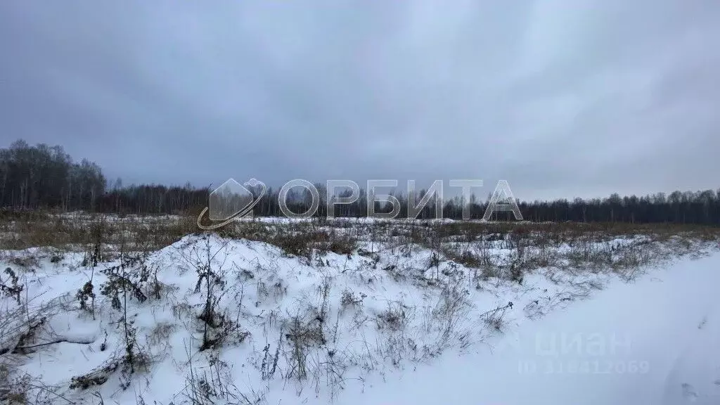 Участок в Тюменская область, Нижнетавдинский район, с. Носырево  ... - Фото 1
