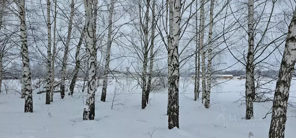 Участок в Московская область, Луховицы муниципальный округ, пос. ... - Фото 1