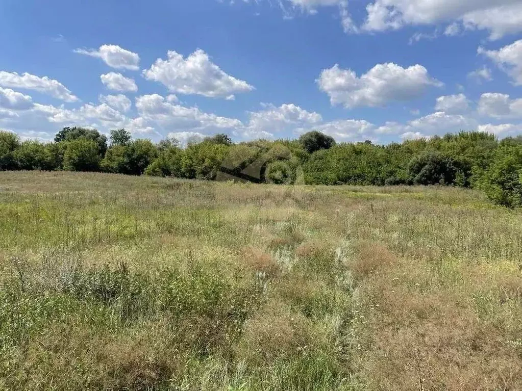 Участок в Белгородская область, Старооскольский городской округ, с. ... - Фото 1