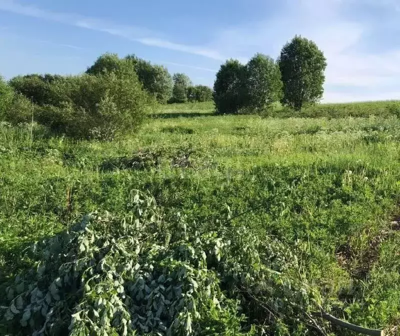 Участок в Ленинградская область, Всеволожский район, Куйвозовское ... - Фото 1