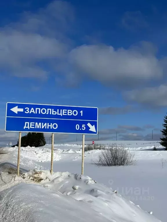 Участок в Пермский край, Кочевский муниципальный округ  (106.0 сот.) - Фото 2