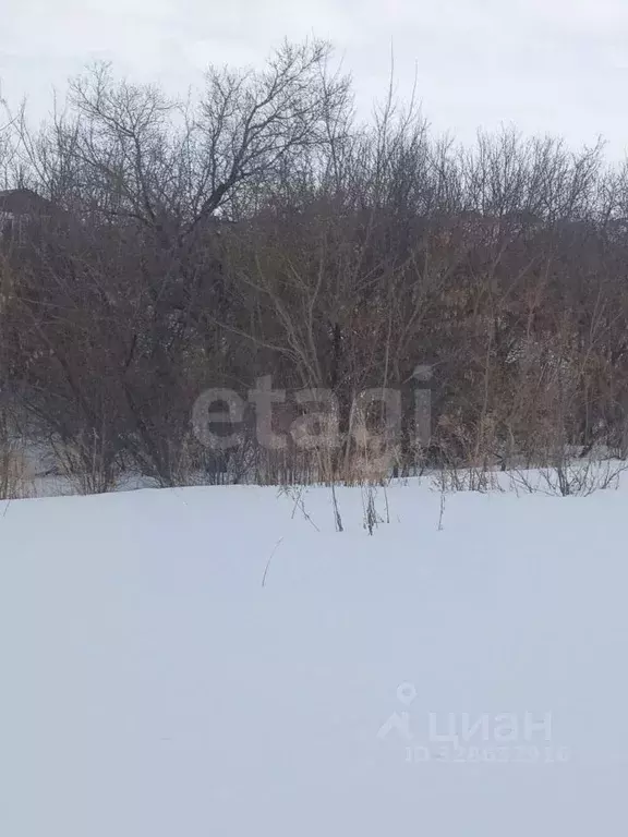 Участок в Алтайский край, Белокуриха ул. Грибная (9.15 сот.) - Фото 1