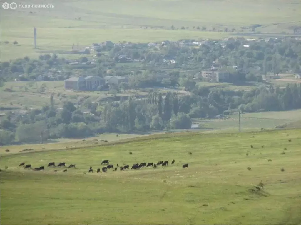 Участок в Белогорский район, село Вишенное (15 м) - Фото 0