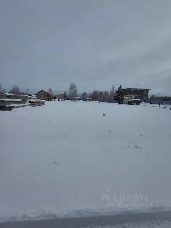 Участок в Новосибирская область, Новосибирский район, с. Верх-Тула ул. ... - Фото 2