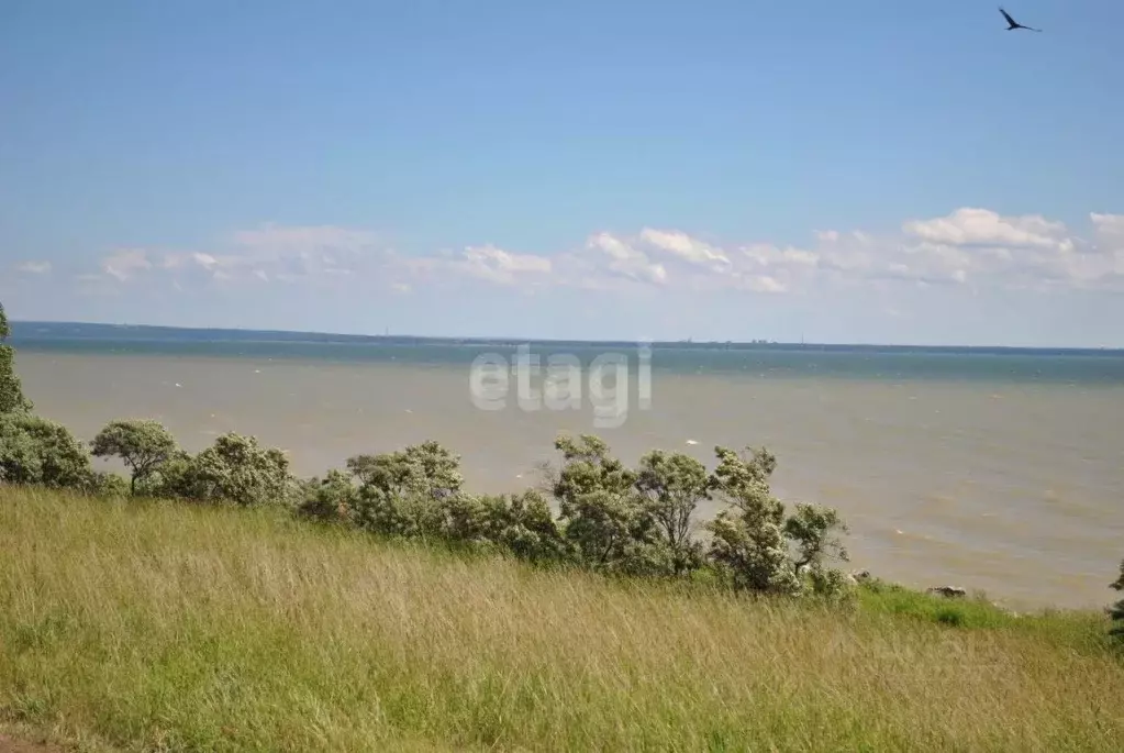 Участок в Новосибирская область, Новосибирский район, Морской ... - Фото 1