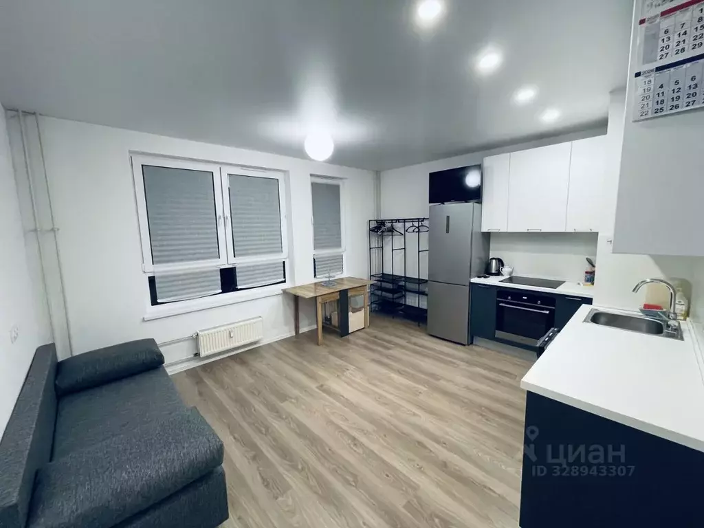 Студия Московская область, Домодедово городской округ, с. Ям ул. ... - Фото 1