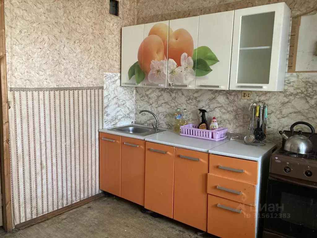 2-к кв. Псковская область, Бежаницкий муниципальный округ, Красный Луч ... - Фото 2