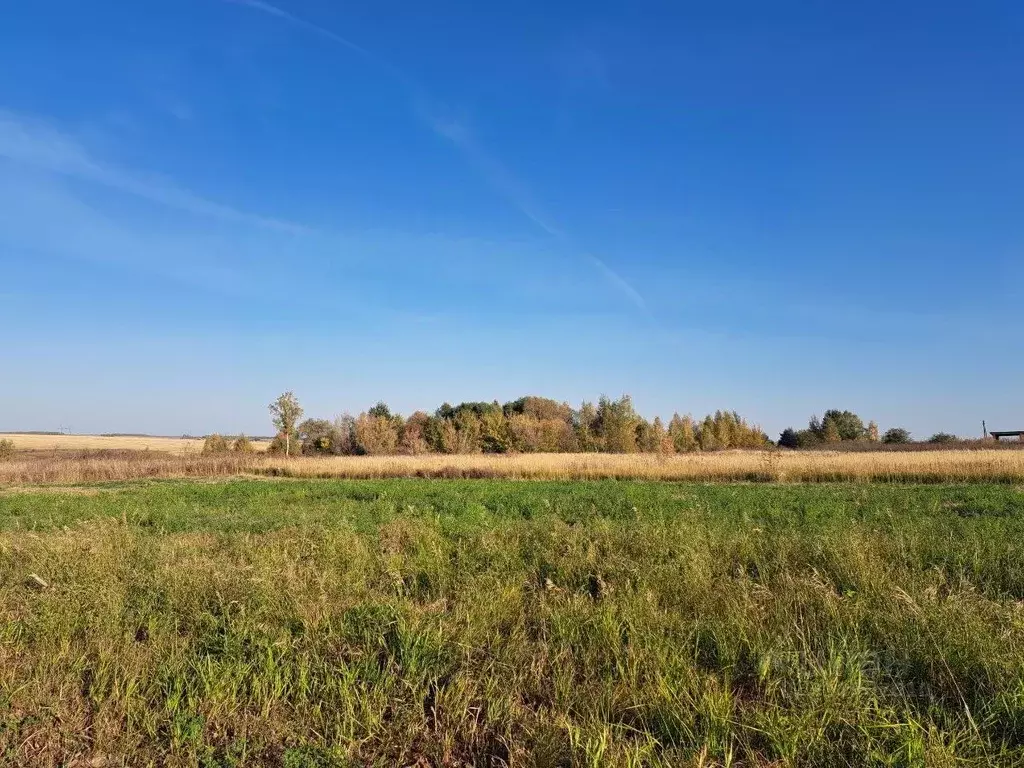 Участок в Московская область, Кашира городской округ, д. Никулино  ... - Фото 0