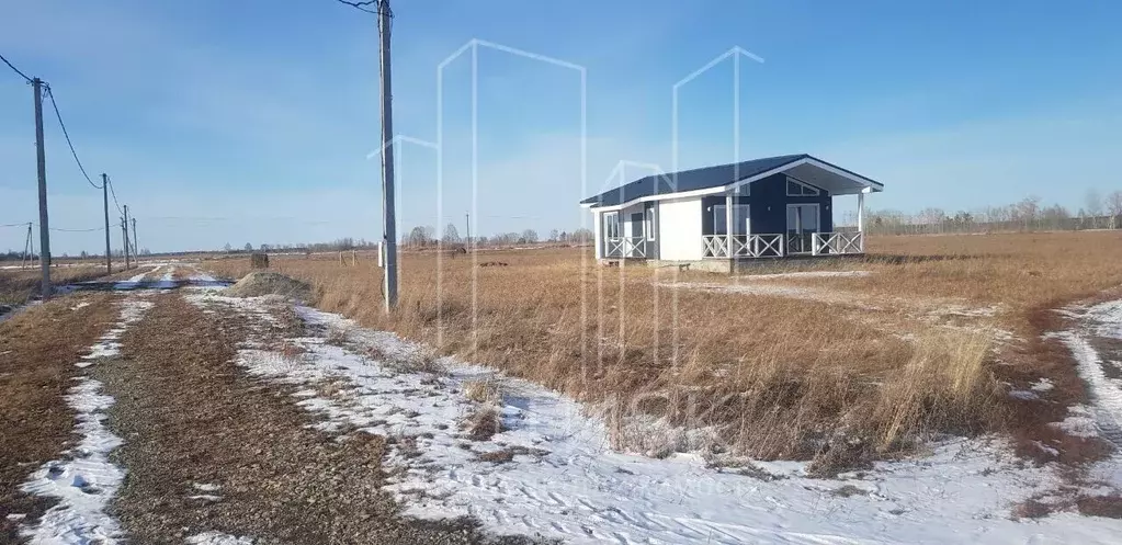 Участок в Новосибирская область, Колыванский район, с. Скала  (9.0 ... - Фото 1