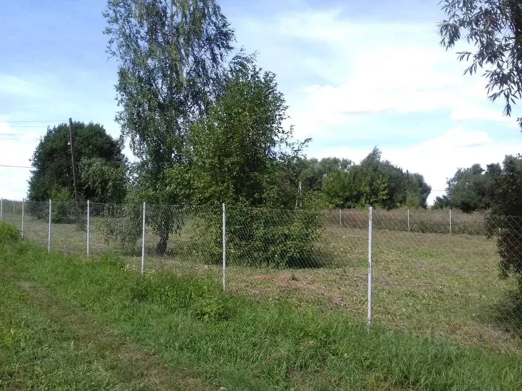 Участок в Тульская область, Новомосковск городской округ, с. ... - Фото 2