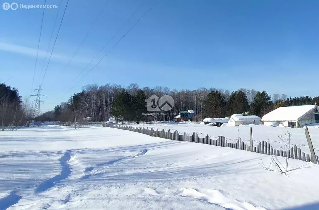 Участок в Тогучинский район, СТ Заринка, Малиновая улица (16 м) - Фото 2