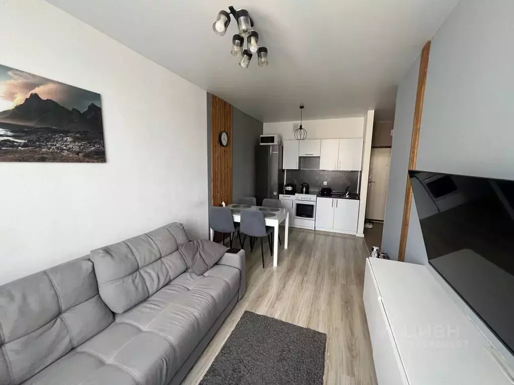 1-к кв. Нижегородская область, Нижний Новгород д. Анкудиновка, ул. ... - Фото 0