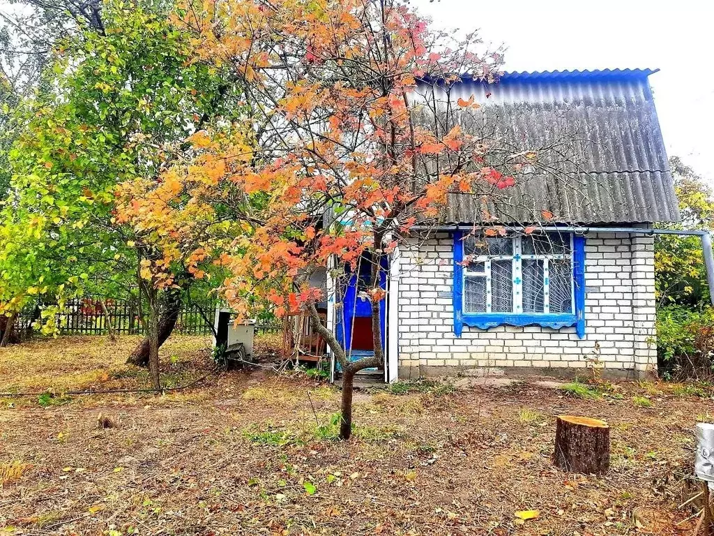 Дом в Курская область, Курск Авиатор садовое товарищество, 2 (40 м) - Фото 1