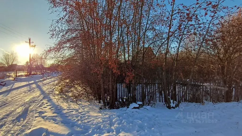 Дом в Омская область, Омск СОСН Урожай-1 тер., аллея 3-я (20 м) - Фото 1