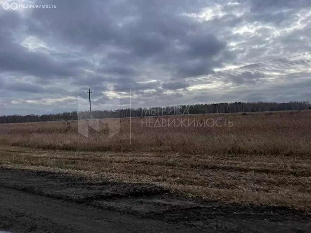 Участок в Тюменский район, село Щербак (7.2 м) - Фото 1