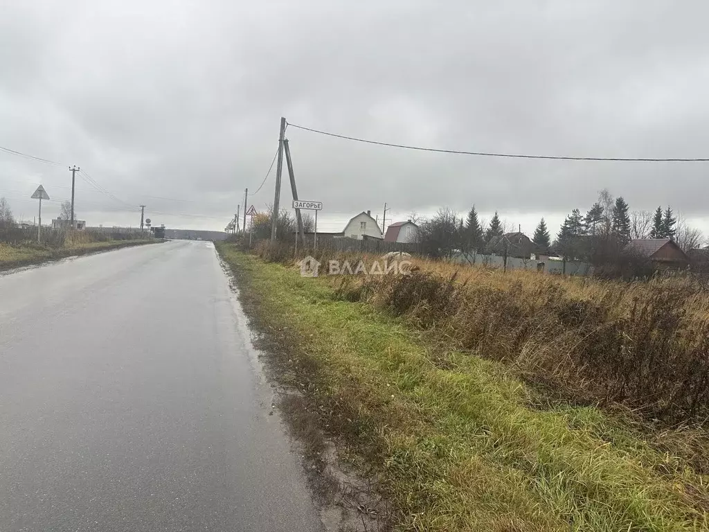 Участок в Владимирская область, Суздальский район, Новоалександровское ... - Фото 2