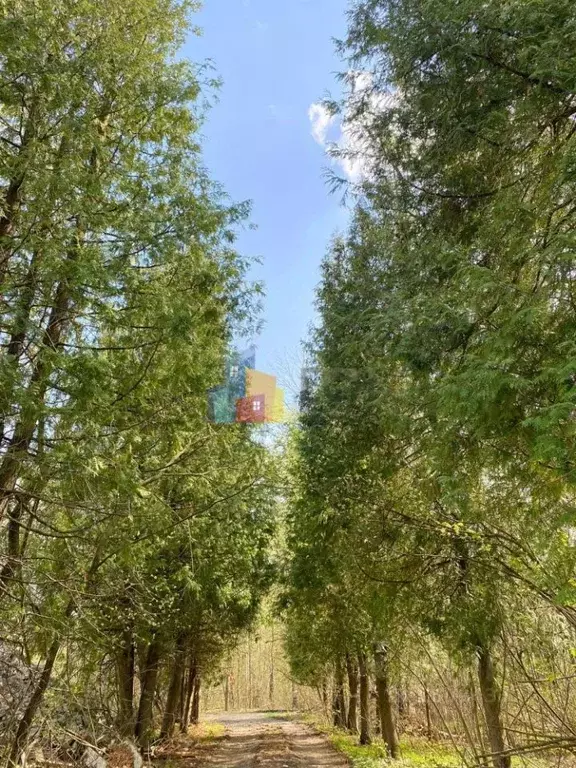 Дом в Тульская область, Тула городской округ, д. Скобелево  (166 м) - Фото 1