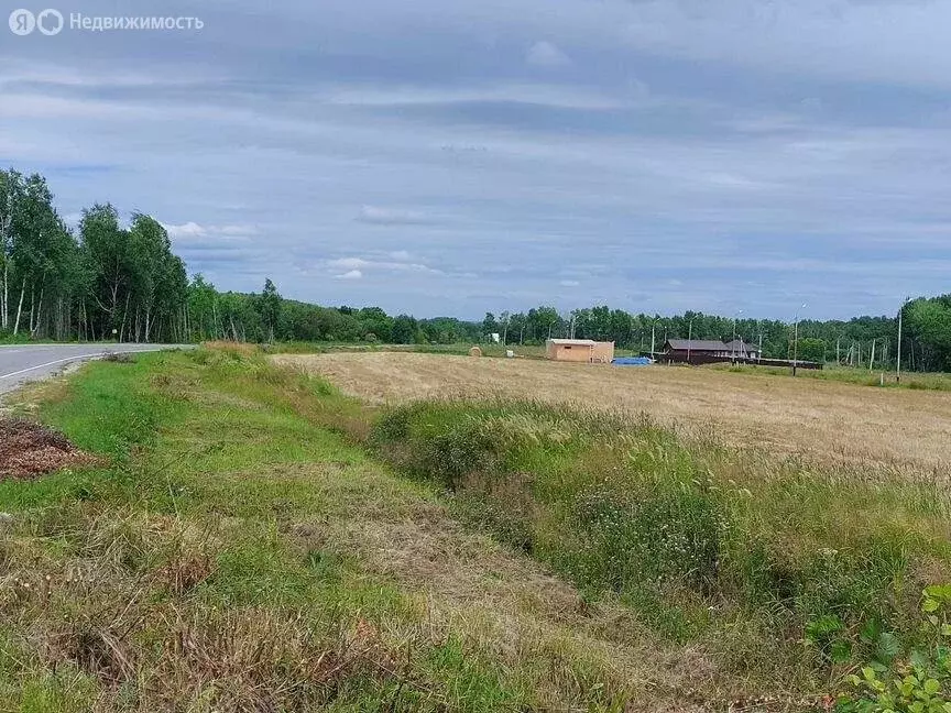 Участок в Мичуринское сельское поселение, село Виноградовка, квартал ... - Фото 0