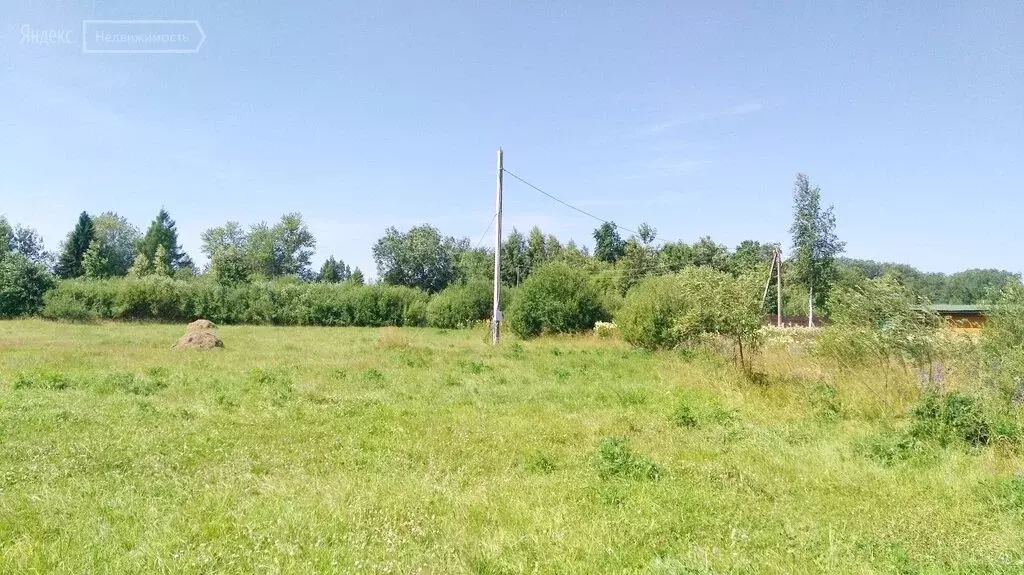 Купить Участок В Гдовском Районе Псковской