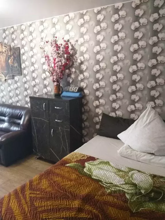 1-к кв. Новгородская область, Боровичи Пушкинская ул., 74 (30.0 м) - Фото 2