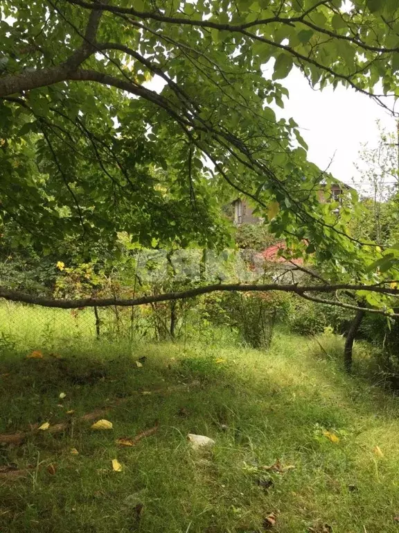 Участок в Краснодарский край, Сочи городской округ, с. Калиновое Озеро ... - Фото 1
