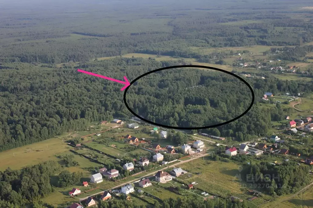 Участок в Владимирская область, Александровский муниципальный округ, ... - Фото 1