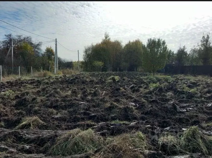 Участок в Московская область, Зарайск городской округ, д. Потлово  ... - Фото 1