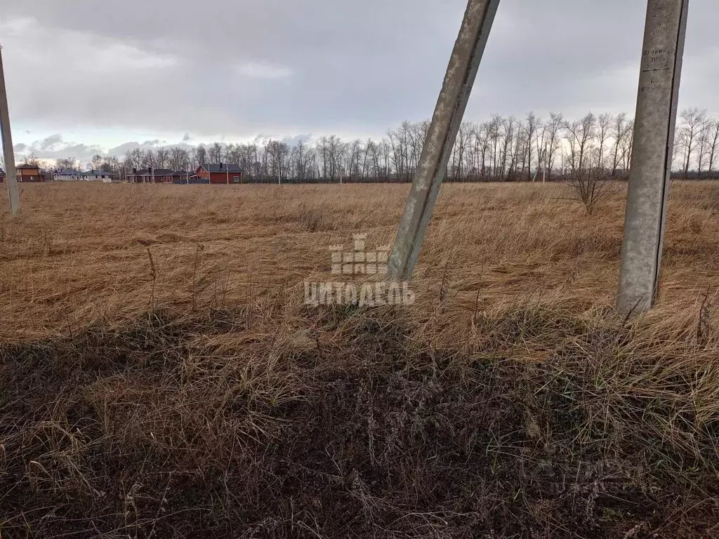 Участок в Воронежская область, с. Новая Усмань ул. Конструкторов, 105 ... - Фото 2