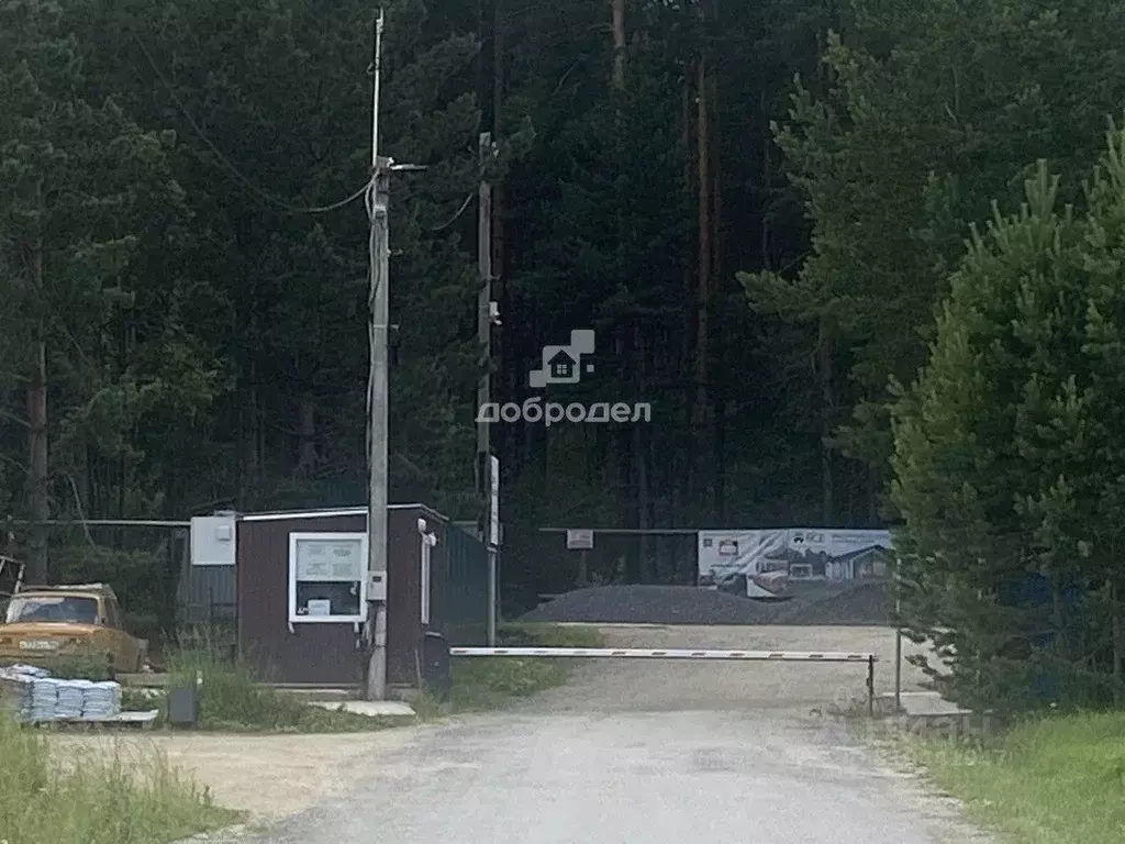 Участок в Свердловская область, Сысертский муниципальный округ, ... - Фото 0