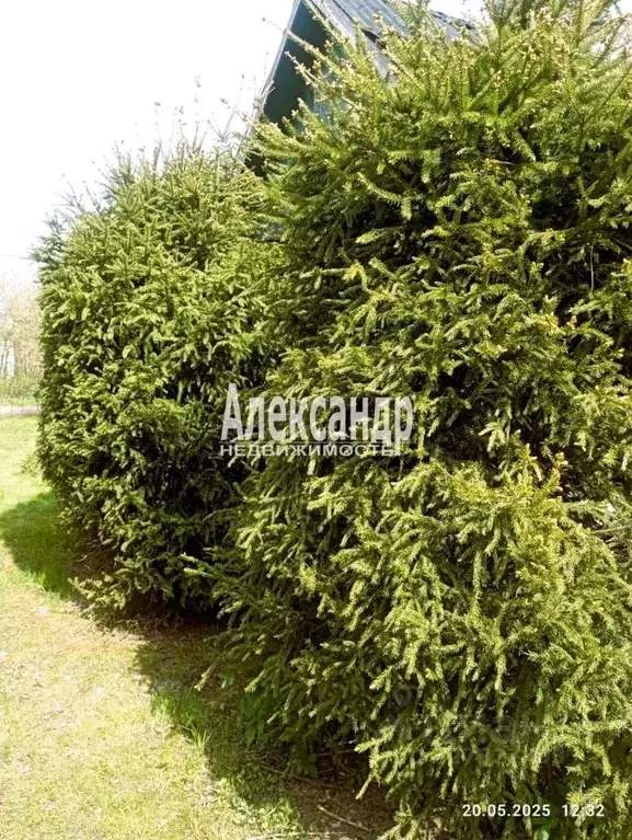 Дом в Ленинградская область, Выборг Портовик СНТ, 6-я линия (11 м) - Фото 1