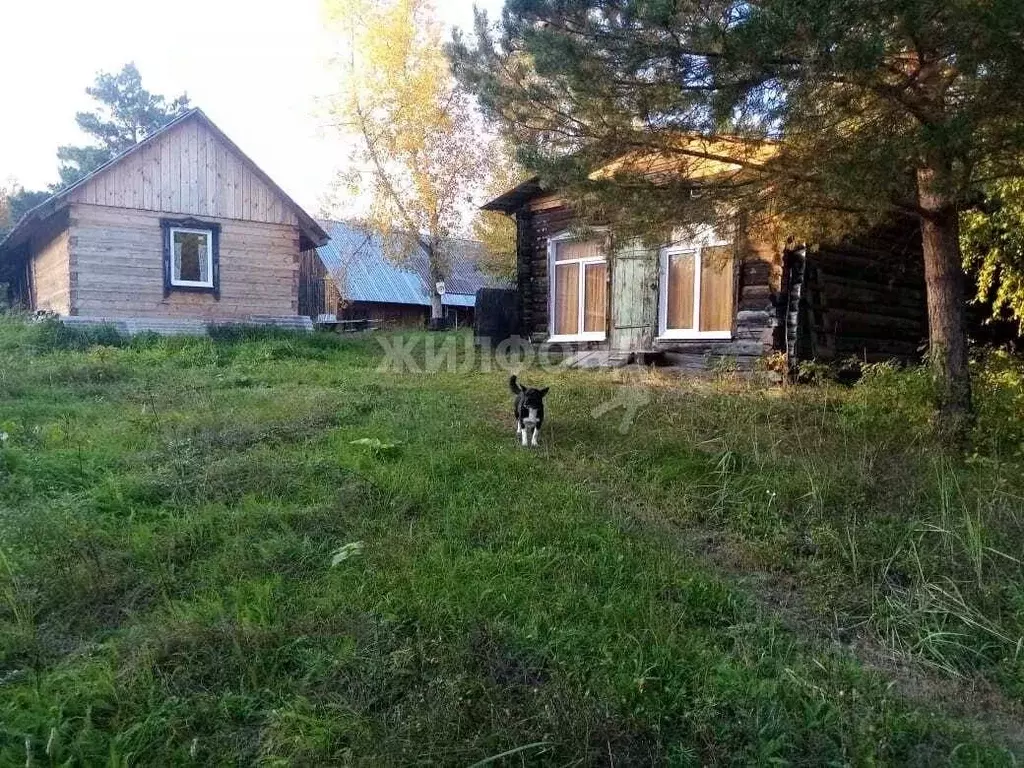 Дом в Томская область, с. Кривошеино ул. Береговая (60 м) - Фото 0