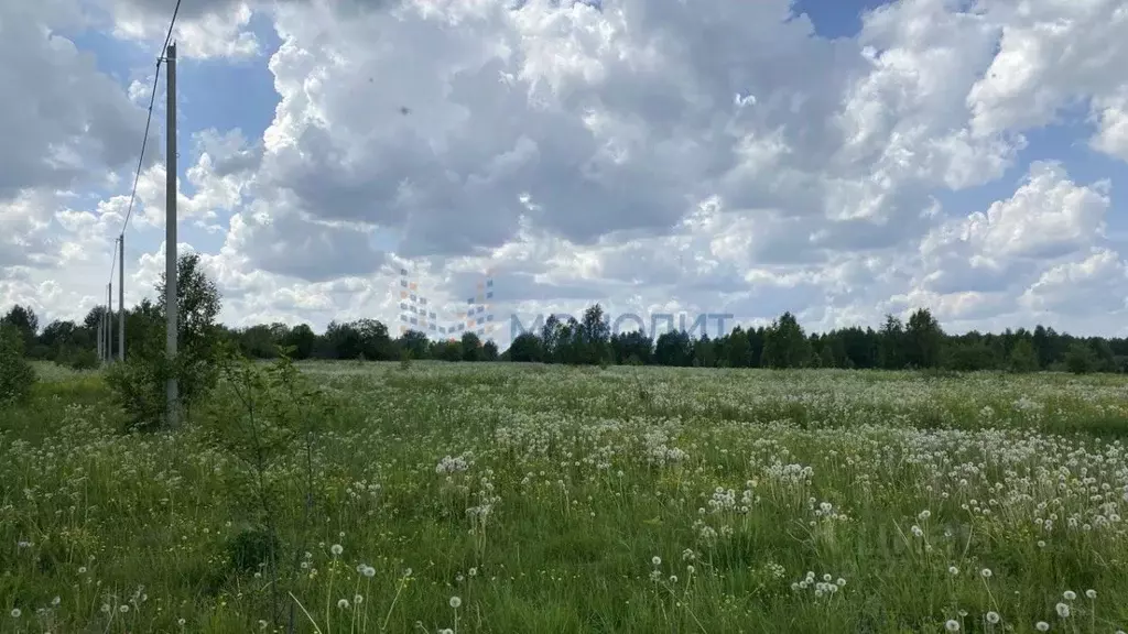 Участок в Нижегородская область, Чкаловск муниципальный округ, д. ... - Фото 2