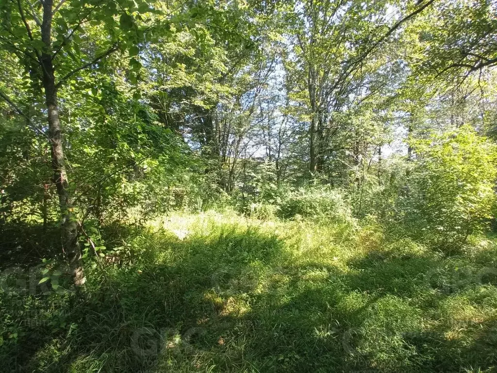 Участок в Краснодарский край, Сочи городской округ, с. Раздольное ул. ... - Фото 1