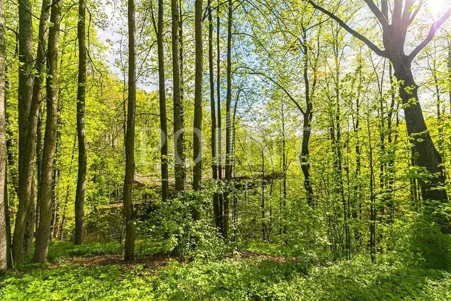 Участок в Московская область, Одинцовский городской округ, д. Калчуга  ... - Фото 1