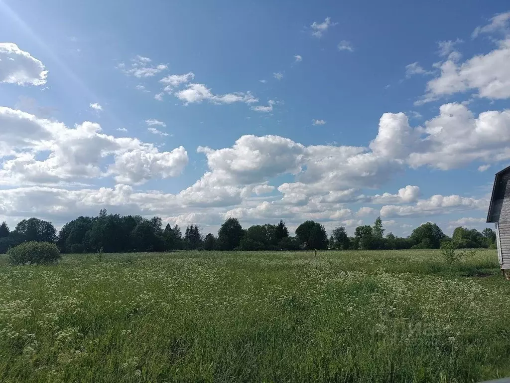 Участок в Новгородская область, Новгородский район, Ермолинское с/пос, ... - Фото 1