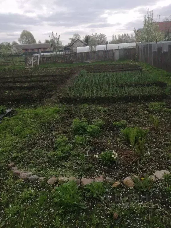 Участок в Московская область, Луховицы муниципальный округ, с. ... - Фото 1