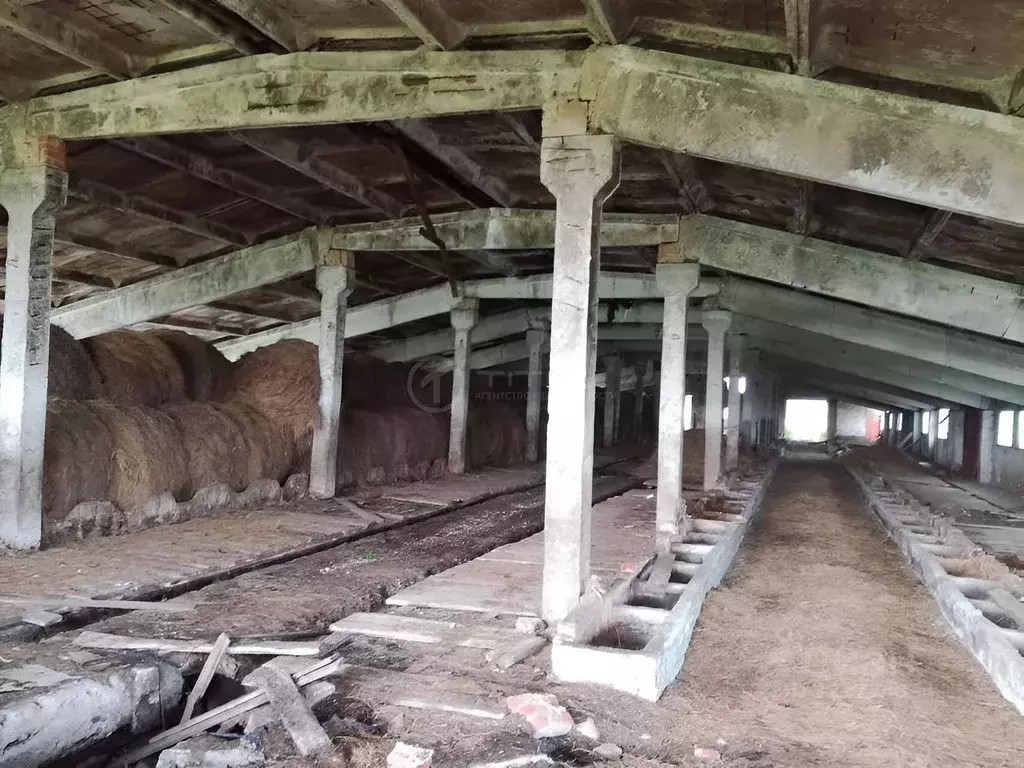 Участок в Калужская область, Куйбышевский район, Бутчино с/пос, д. ... - Фото 2