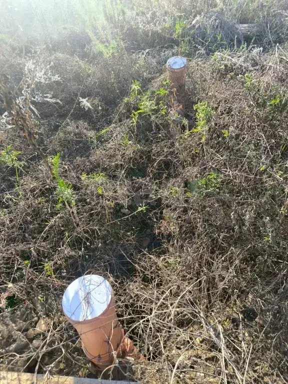 Участок в Адыгея, Майкоп городской округ, пос. Северный пер. ... - Фото 1