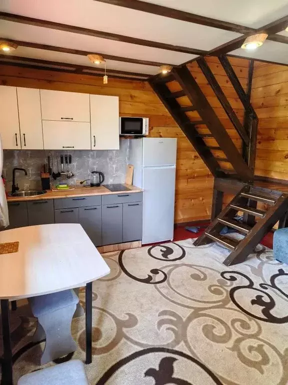 Дом в Алтай, Турочакский район, с. Артыбаш Телецкая ул., 71Б (46 м) - Фото 1