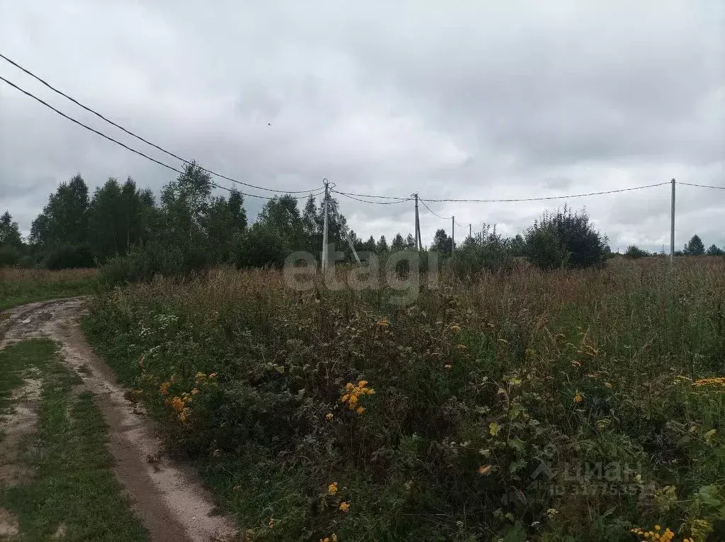 Участок в Владимирская область, Киржачский район, Кипревское ... - Фото 0