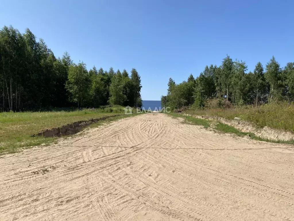 Участок в Ярославская область, Рыбинский муниципальный округ, д. ... - Фото 2