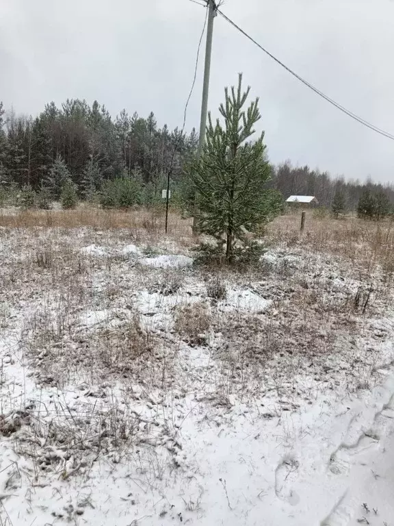 Участок в Коми, Корткеросский район, Додзь муниципальное образование, ... - Фото 1
