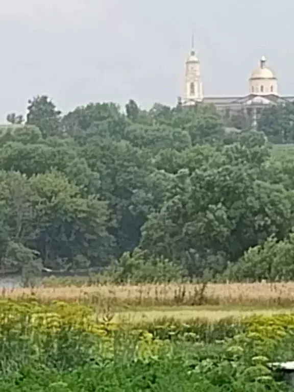 Дом в Курская область, Солнцевский район, Старолещинский сельсовет, д. ... - Фото 2