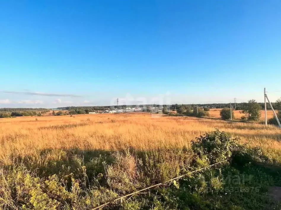 Участок в Ленинградская область, Ломоносовский район, Низинское с/пос, ... - Фото 2