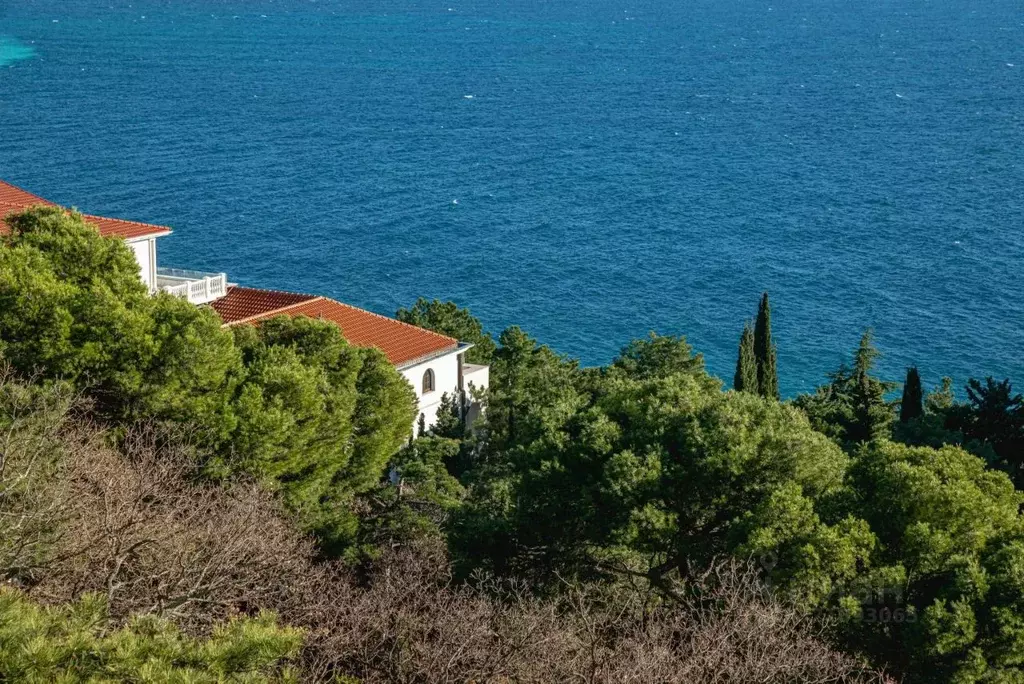Комната Крым, Ялта муниципальный округ, Гаспра пгт ш. Алупкинское ... - Фото 1