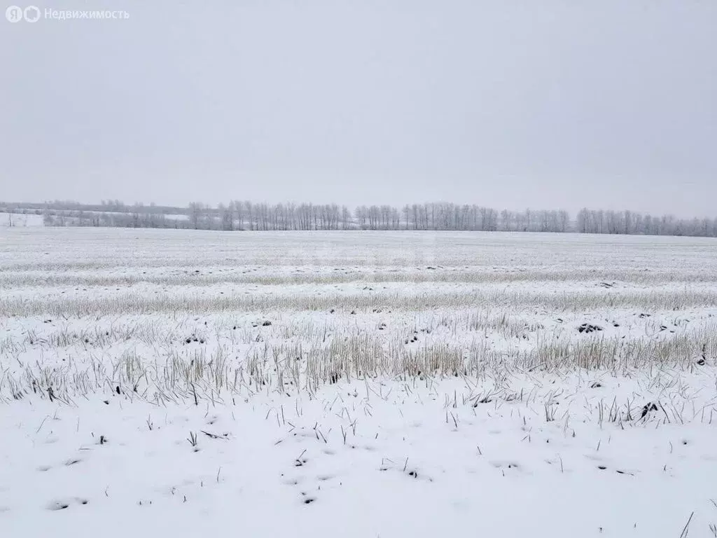 Участок в Лаишевский район, село Татарский Янтык (666 м) - Фото 2