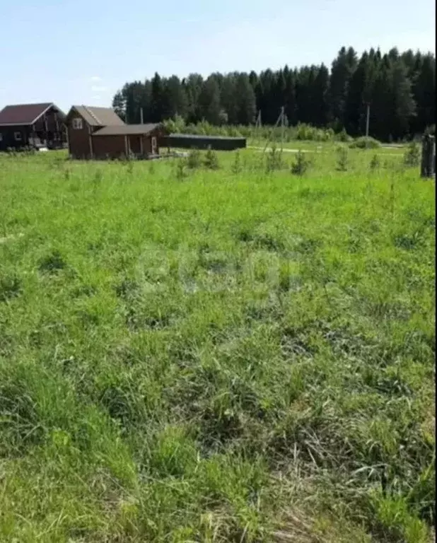 Участок в Кировская область, Слободской район, Ленинское с/пос, д. ... - Фото 1